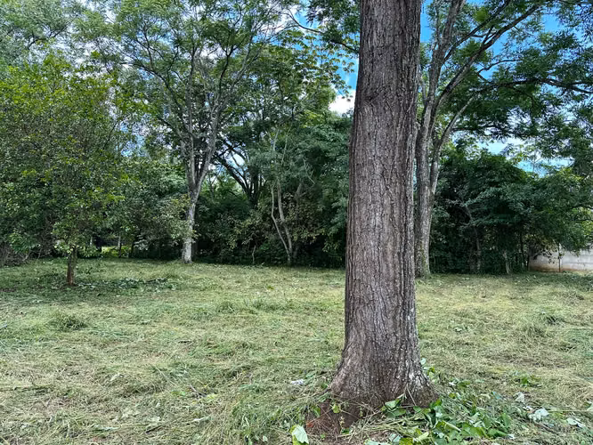 VENTA DE TERRENO EN ATENAS - Imagen 5