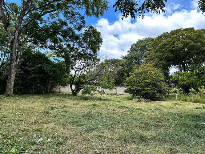 VENTA DE TERRENO EN ATENAS - Imagen 10