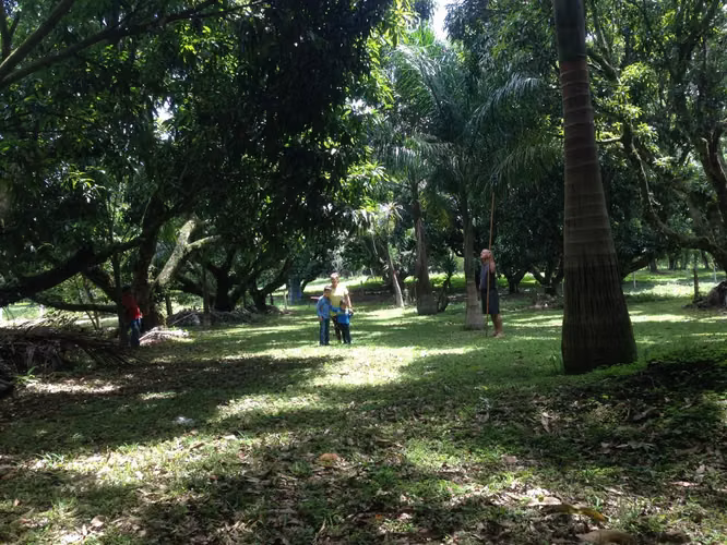 VENTA DE TERRENO EN ATENAS - Imagen 8