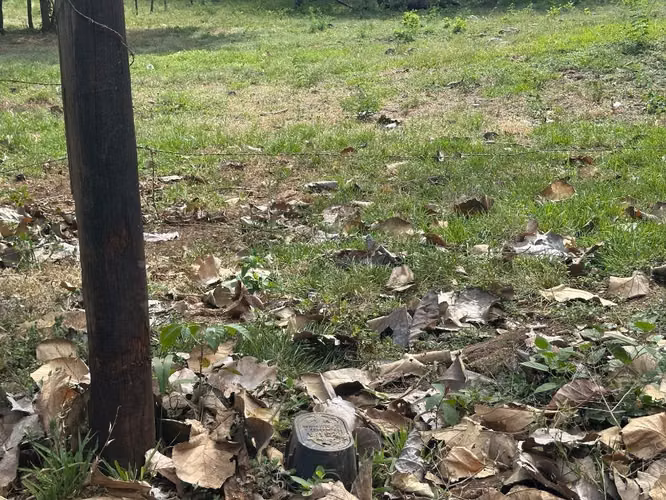 Terreno en venta cerca de Playa Lagarto, Guanacaste. - Imagen 4