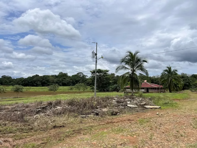 Finca en producción. Zona Norte de Costa Rica. - Imagen 19