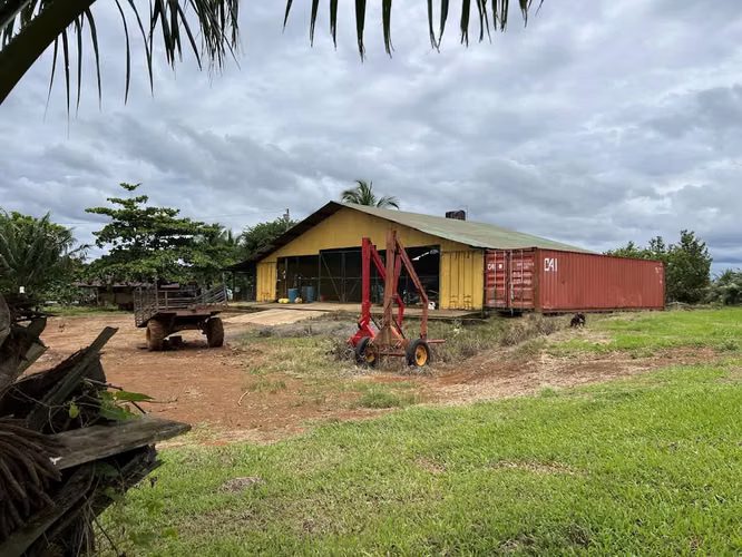 Finca en producción. Zona Norte de Costa Rica. - Imagen 18
