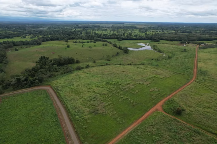 Finca en producción. Zona Norte de Costa Rica. - Imagen 10