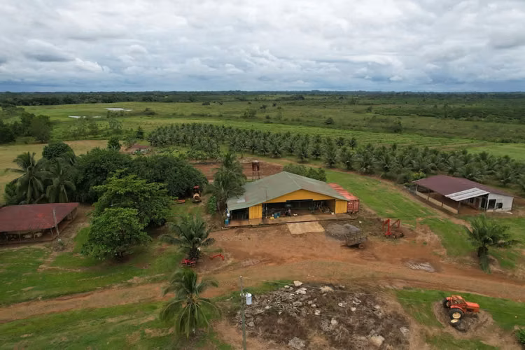 Finca en producción. Zona Norte de Costa Rica. - Imagen 7
