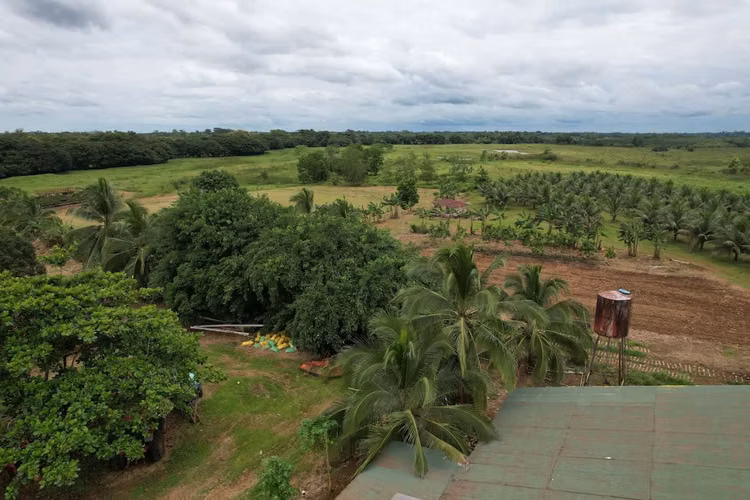 Finca en producción. Zona Norte de Costa Rica. - Imagen 6