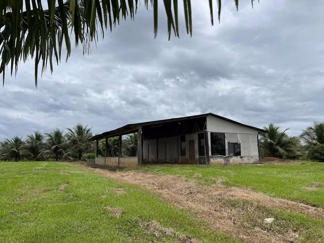 Finca en producción. Zona Norte de Costa Rica. - Imagen 17