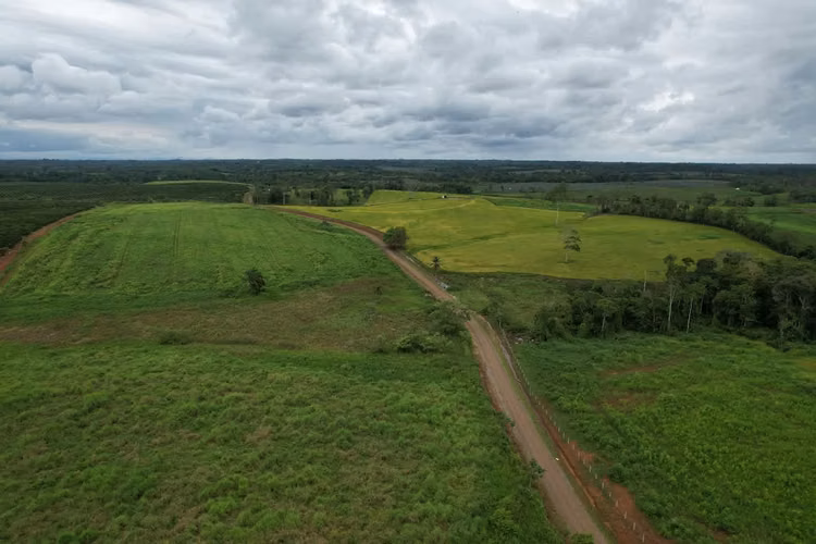 Finca en producción. Zona Norte de Costa Rica. - Imagen 11