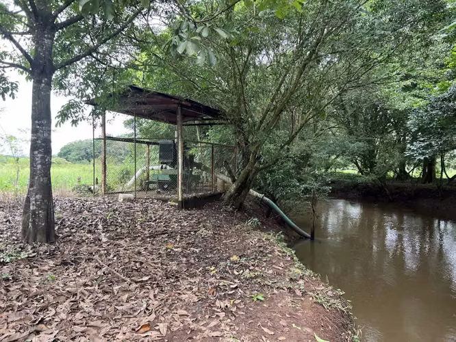 Finca en producción. Zona Norte de Costa Rica. - Imagen 13