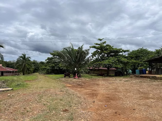 Finca en producción. Zona Norte de Costa Rica. - Imagen 20