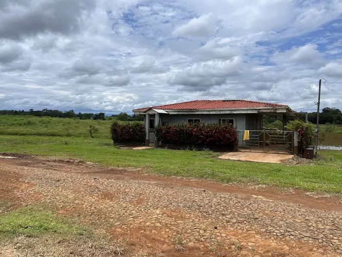 Finca en producción. Zona Norte de Costa Rica. - Imagen 16
