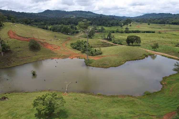 Livestock farm in San Carlos