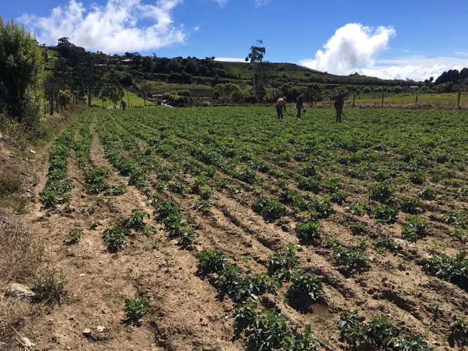 Terreno en Venta cerca del Sanatorio Durán, Cartago ID15029