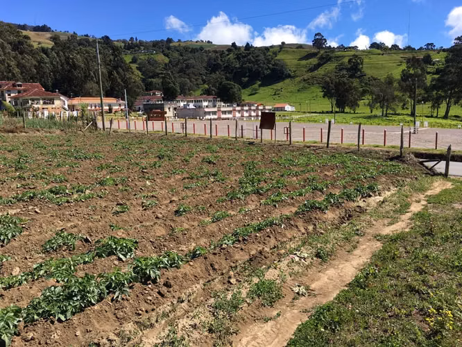 Terreno en Venta cerca del Sanatorio Durán, Cartago ID15029 - Imagen 12