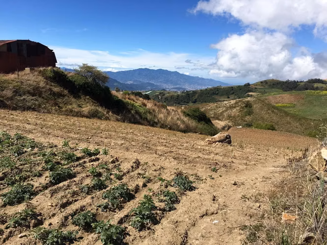 Terreno en Venta cerca del Sanatorio Durán, Cartago ID15029 - Imagen 9