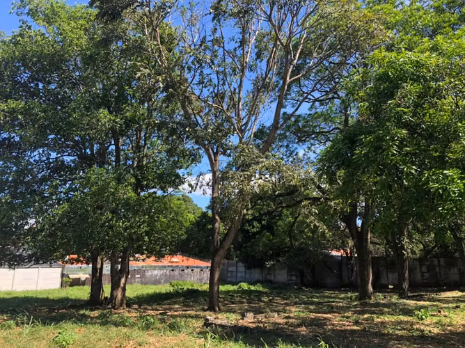 Venta de lote con uso de suelo mixto, Ciudad Colón, San José, 3961 - Imagen 10