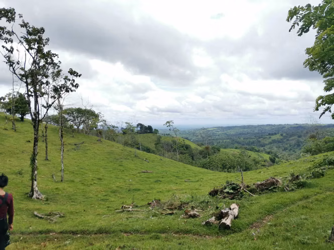 Finca en venta en San Carlos, cerca de La Fortuna. - Imagen 19