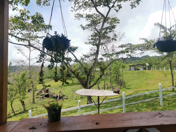 Finca en venta en San Carlos, cerca de La Fortuna. - Imagen 12