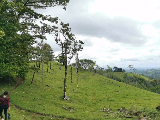 Finca en venta en San Carlos, cerca de La Fortuna. - Imagen 20