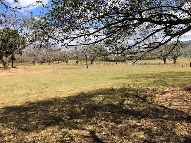 Venta de terreno en Lindora, Santa Ana - Imagen 12
