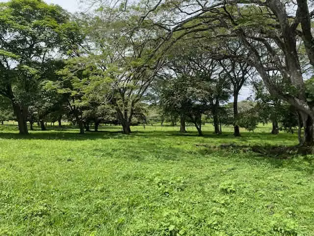 Venta de terreno en Lindora, Santa Ana - Imagen 6