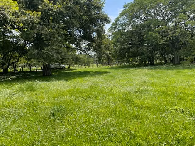 Venta de terreno en Lindora, Santa Ana - Imagen 3