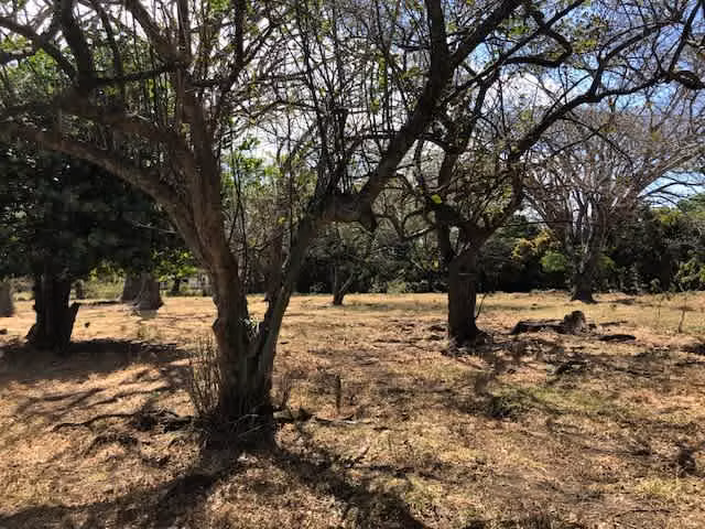 Venta de terreno en Lindora, Santa Ana - Imagen 10