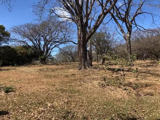 Venta de terreno en Lindora, Santa Ana - Imagen 11