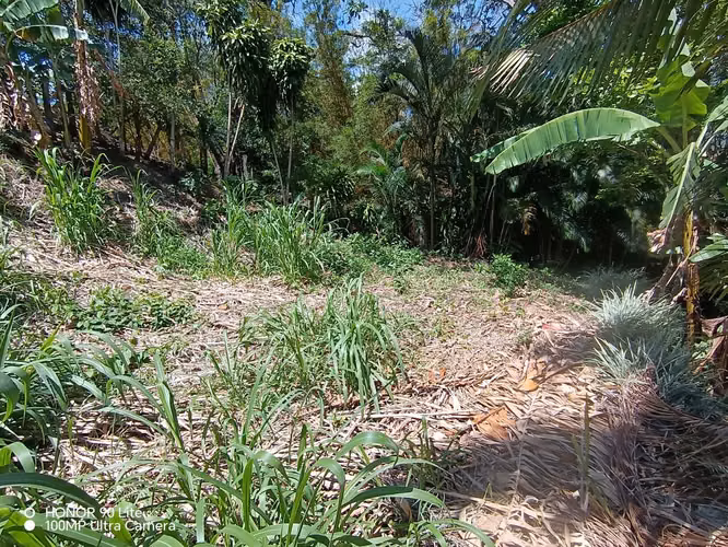 Oportunidad Venta de lote en Acosta