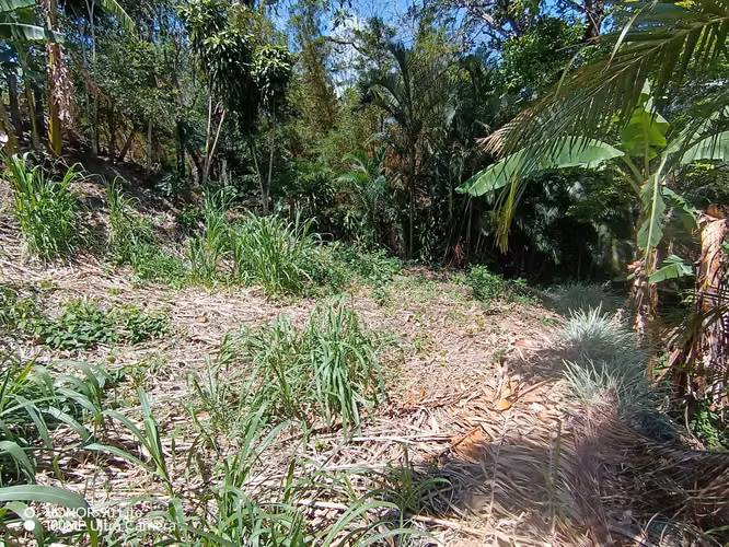 Oportunidad Venta de lote en Acosta