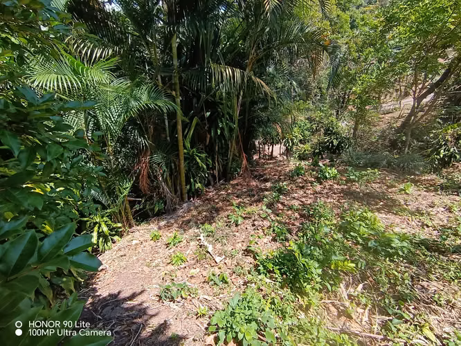 Oportunidad Venta de lote en Acosta
