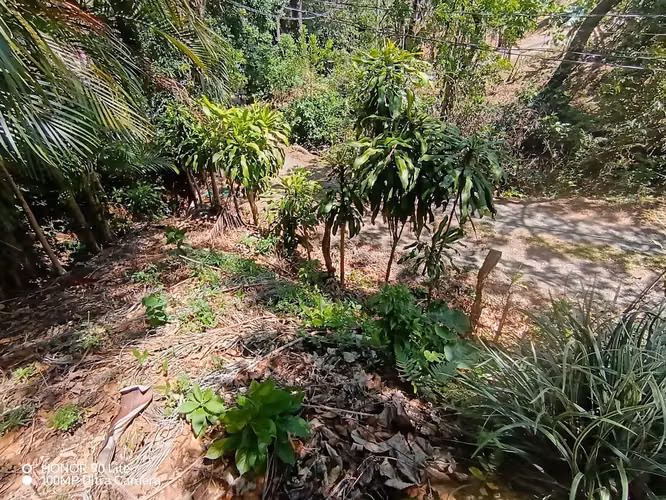 Oportunidad Venta de lote en Acosta
