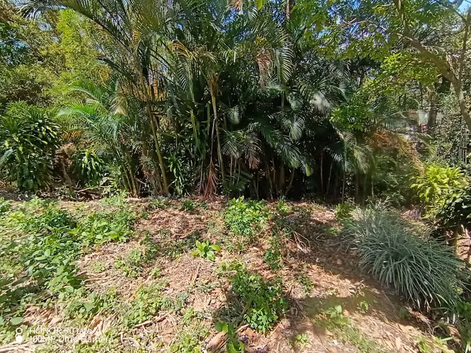 Oportunidad Venta de lote en Acosta