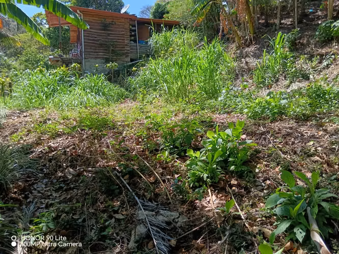 Oportunidad Venta de lote en Acosta