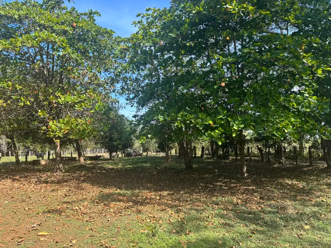 Lote 1680M2 Guanacaste – Belén, Pueblo Santa Ana - Imagen 6