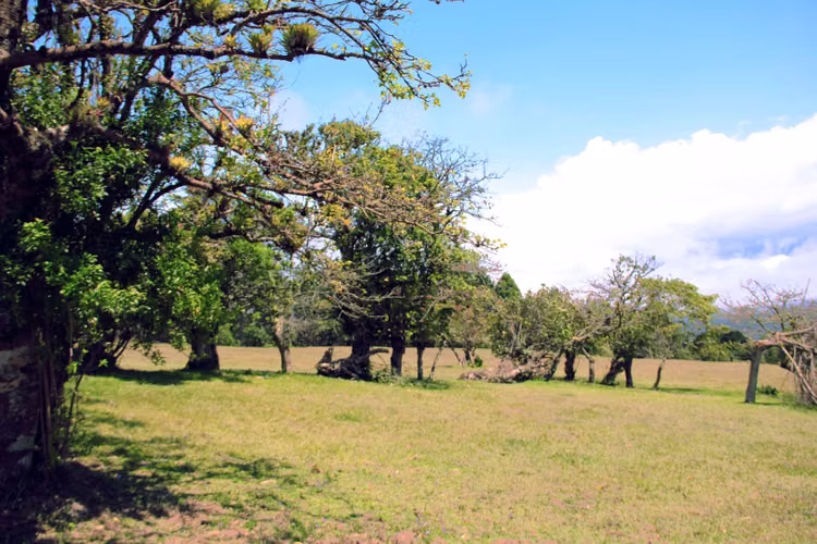 Terreno en San Isidro de Heredia ID 22307 - Imagen 13