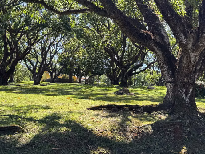 Finca en Venta en San Mateo de Orotina  Paraíso Natural y Exclusividad