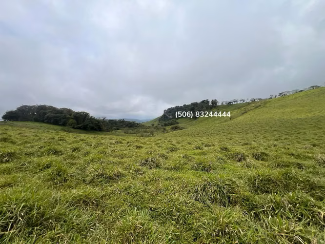 VENTA DE FINCA EN SAN RAMÓN - Imagen 9