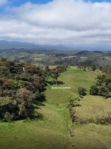 VENTA DE FINCA EN SAN RAMÓN - Imagen 12