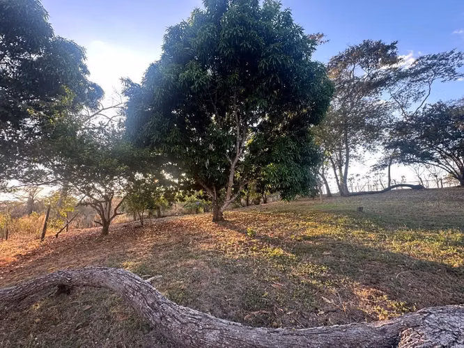 Oportunidad Terreno Bajamar, Se vende - Imagen 4