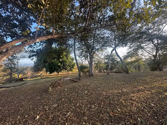Oportunidad Terreno Bajamar, Se vende - Imagen 6