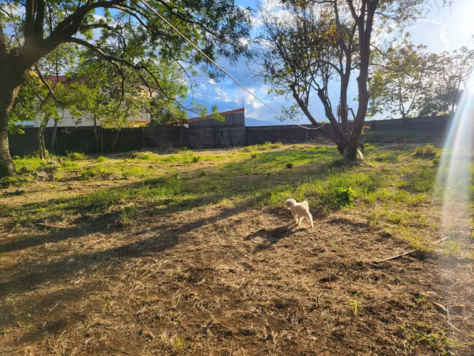 Vendo propiedad de 4625m2, uso mixto en Llorente de Flores, Heredia-EU