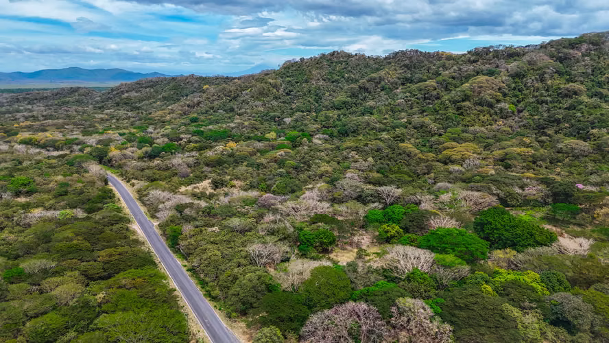 Venta de lote en Guapinol de Cañas, Guanacaste