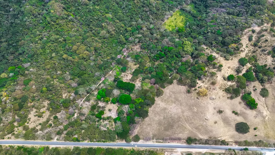 Venta de lote en Guapinol de Cañas, Guanacaste