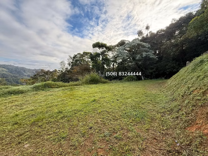 VENTA DE LOTE EN CARTAGO, VALLE DE OROSI