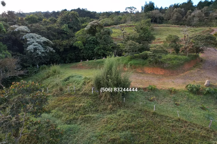 VENTA DE LOTE EN CARTAGO, VALLE DE OROSI