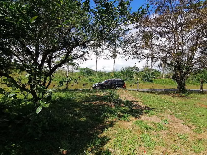 FINCA EN VENTA. 7,8 HECT. RIO. FRENTE A CALLE - Imagen 9