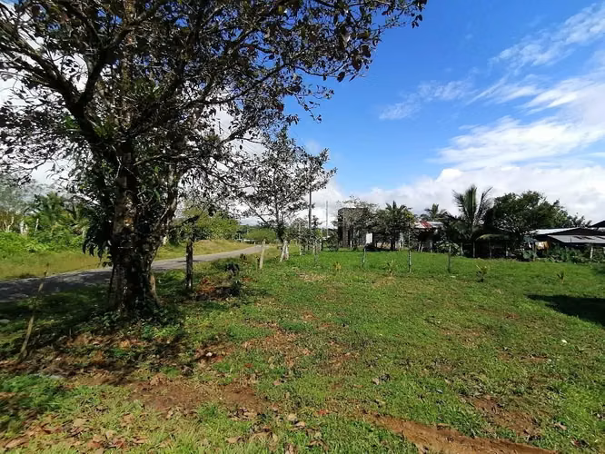 FINCA EN VENTA. 7,8 HECT. RIO. FRENTE A CALLE - Imagen 7