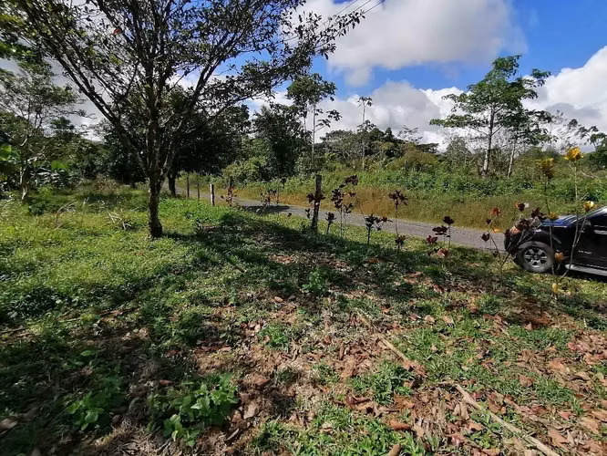FINCA EN VENTA. 7,8 HECT. RIO. FRENTE A CALLE - Imagen 8