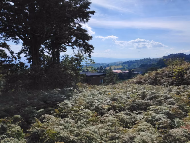 EN VENTA - AMPLIO LOTE CON VISTAS – CABUYAL – SAN JUAN DE POAS - Imagen 4