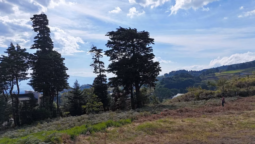 EN VENTA - AMPLIO LOTE CON VISTAS – CABUYAL – SAN JUAN DE POAS - Imagen 8